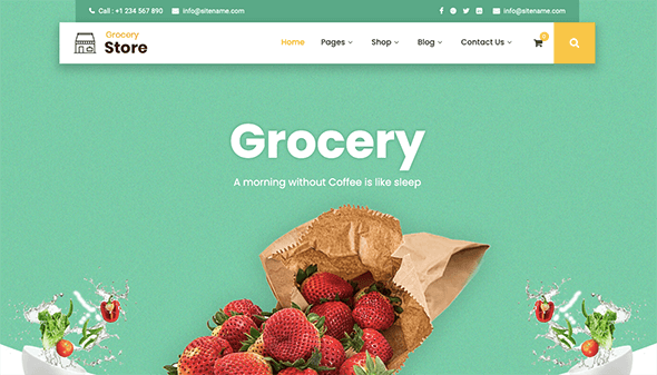 11+ Best WordPress Theme for Grocery Store Websites 2025